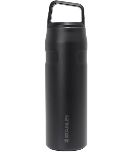 Amazon.co.jp: Stanley (スタンレー) クイックフリップGOウォーター